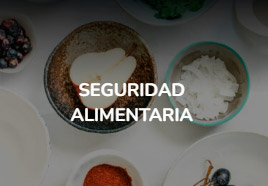 Seguridad-alimentaria
